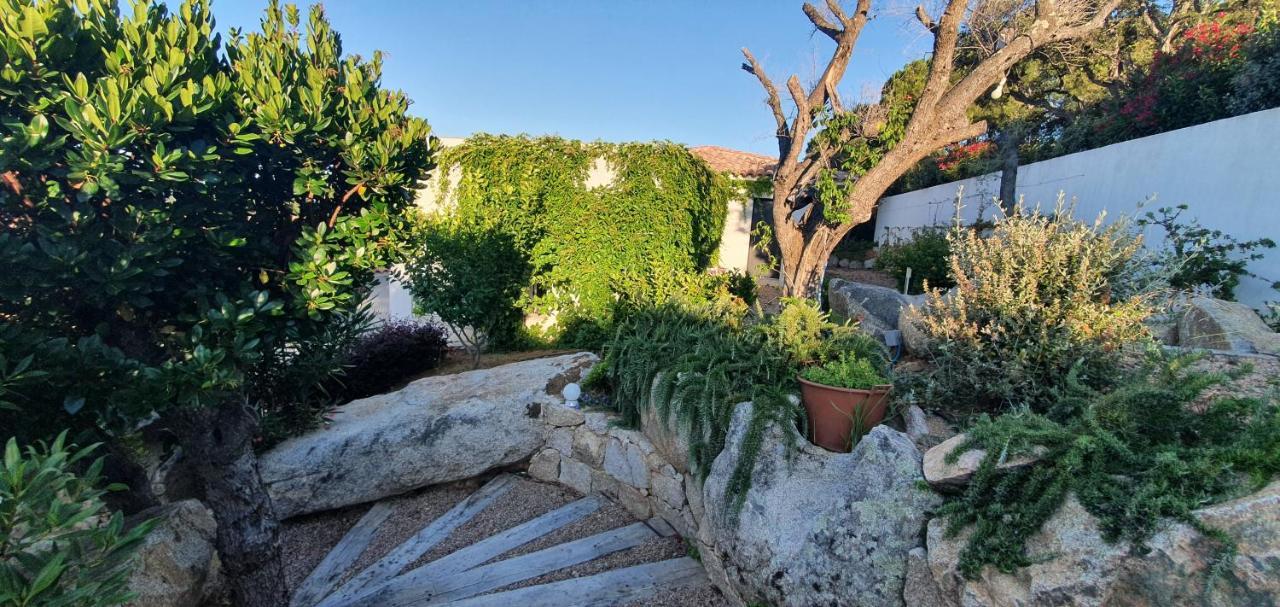 Tres Belle Vue Et Piscine Chauffee - Baccalocation * Porto-Vecchio (Corsica)
