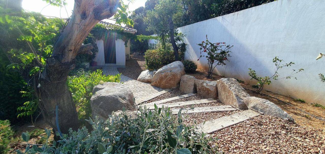 Apartment Tres Belle Vue Et Piscine Chauffee - Baccalocation Porto-Vecchio (Corsica)